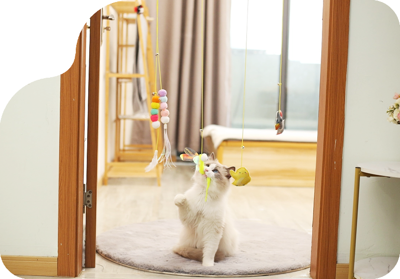 たくさん遊んでいます！