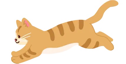 猫ちゃんとの暮らしが始まります